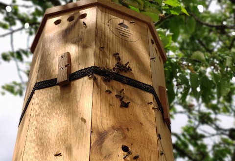 Bienenwohnungen LUNAIRES kastanie