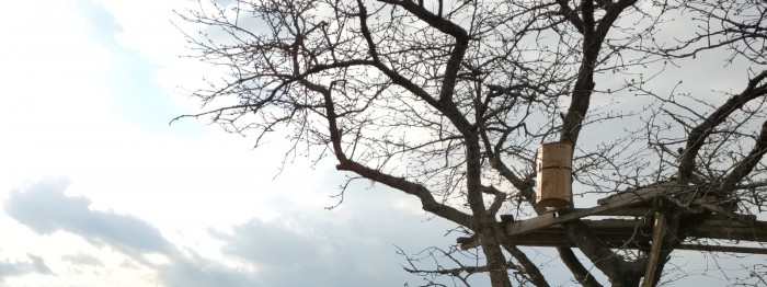 Bienenwohnungen LUNAIRES