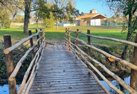 Eichenholzstege in einem Naturschutzgebiet