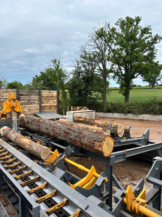 Bilanz 2025 – Ziele & Perspektiven 2026 der Ducerf-Gruppe