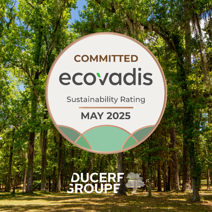 Bilanz 2025 – Ziele & Perspektiven 2026 der Ducerf-Gruppe