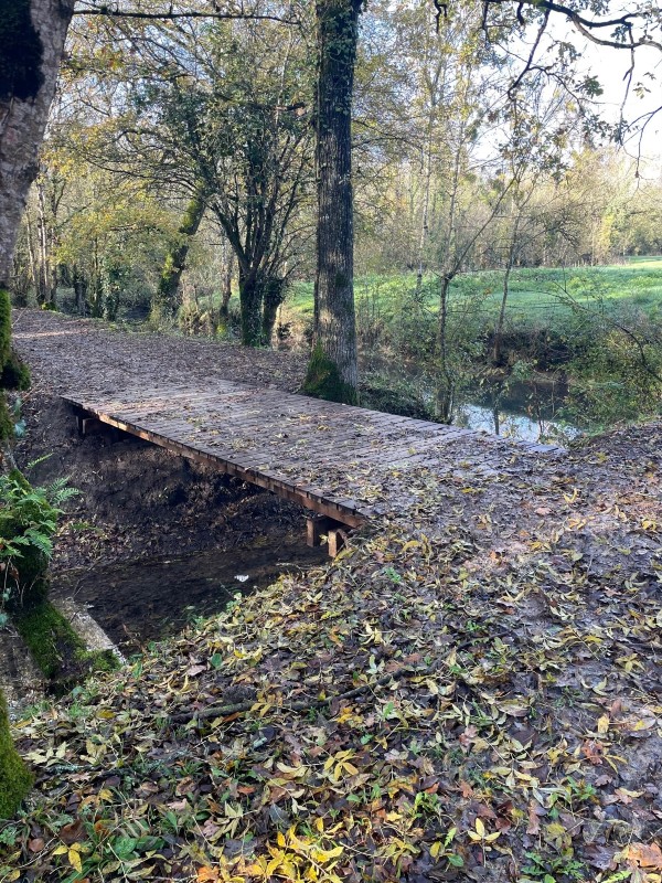 Eichenholzstege in einem Naturschutzgebiet