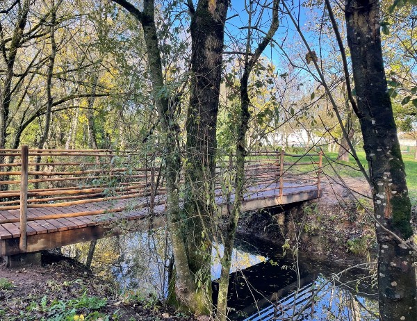 Eichenholzstege in einem Naturschutzgebiet